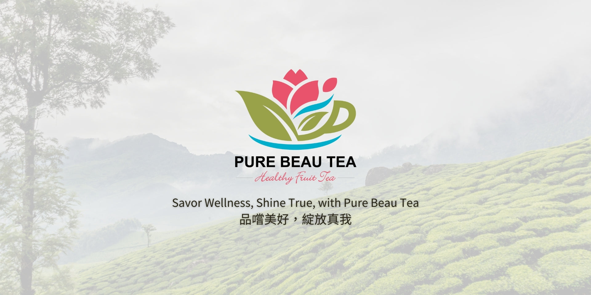 圖片投影片